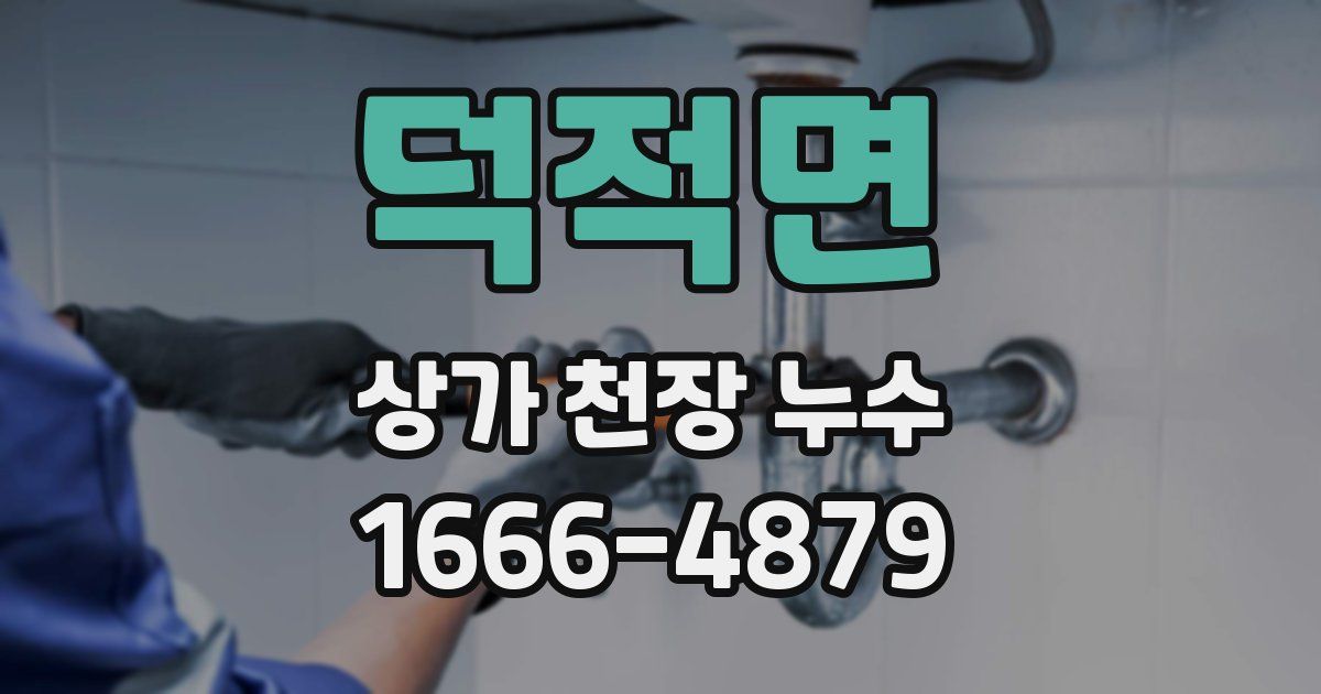 덕적면 상가 천장 누수