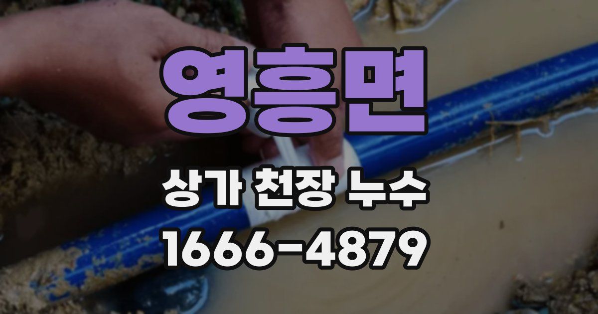 영흥면 상가 천장 누수