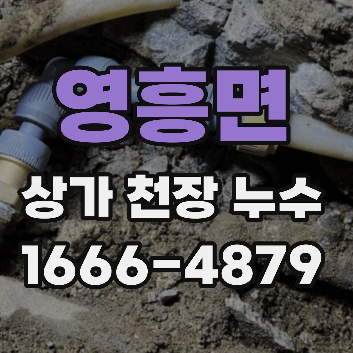 영흥면 상가 천장 누수