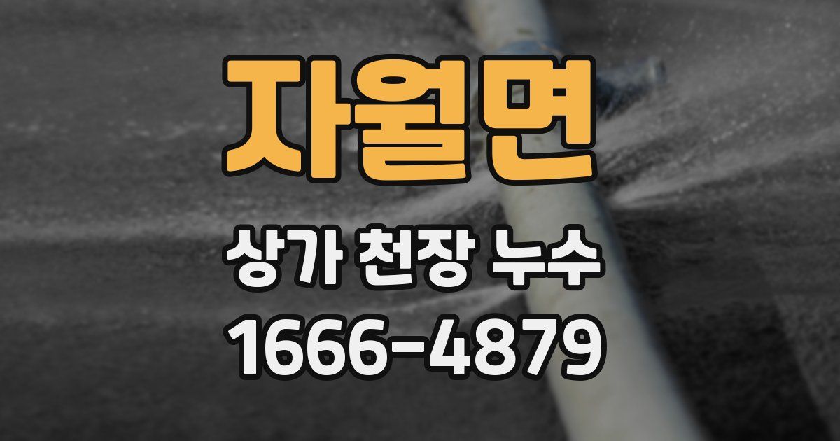 자월면 상가 천장 누수