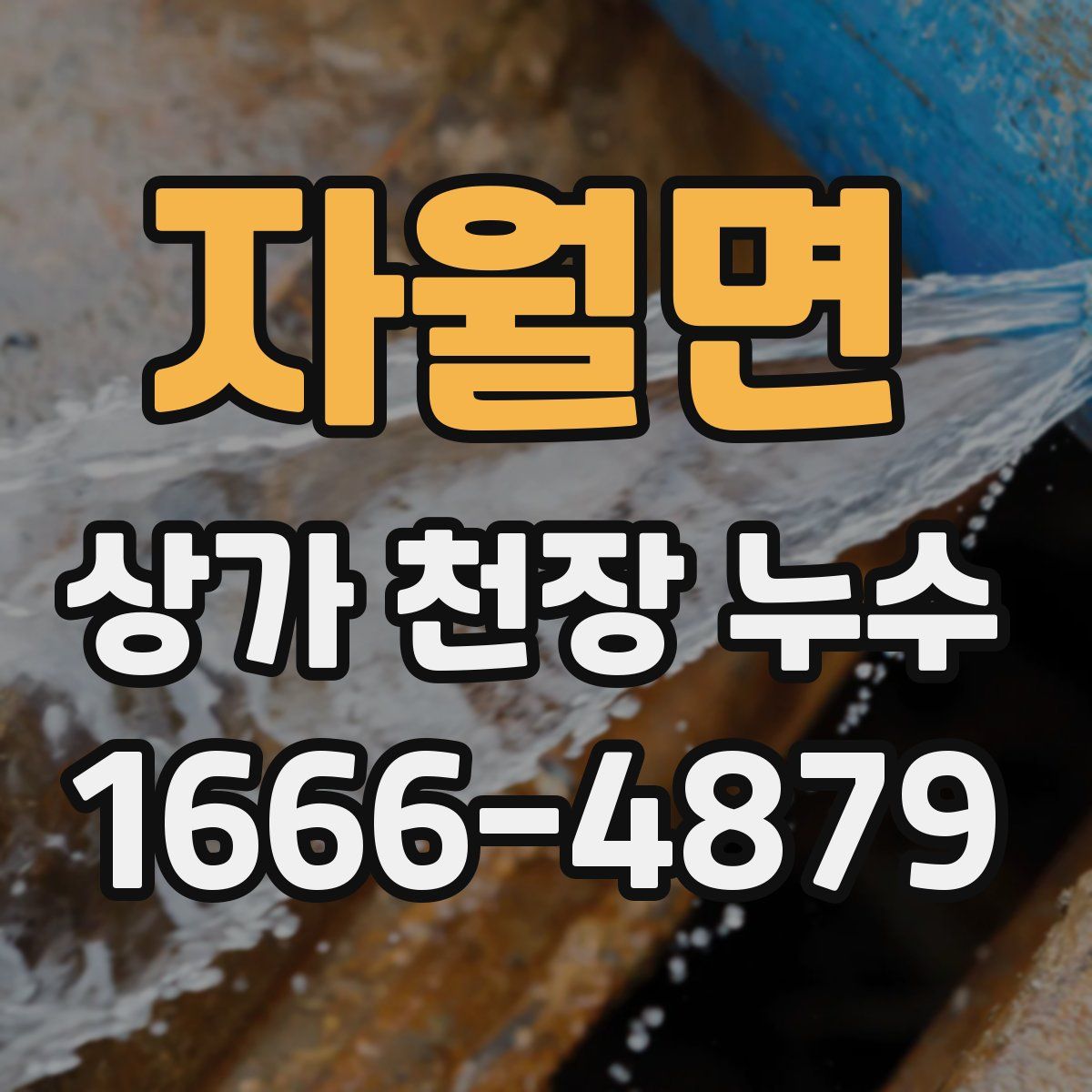 자월면 상가 천장 누수
