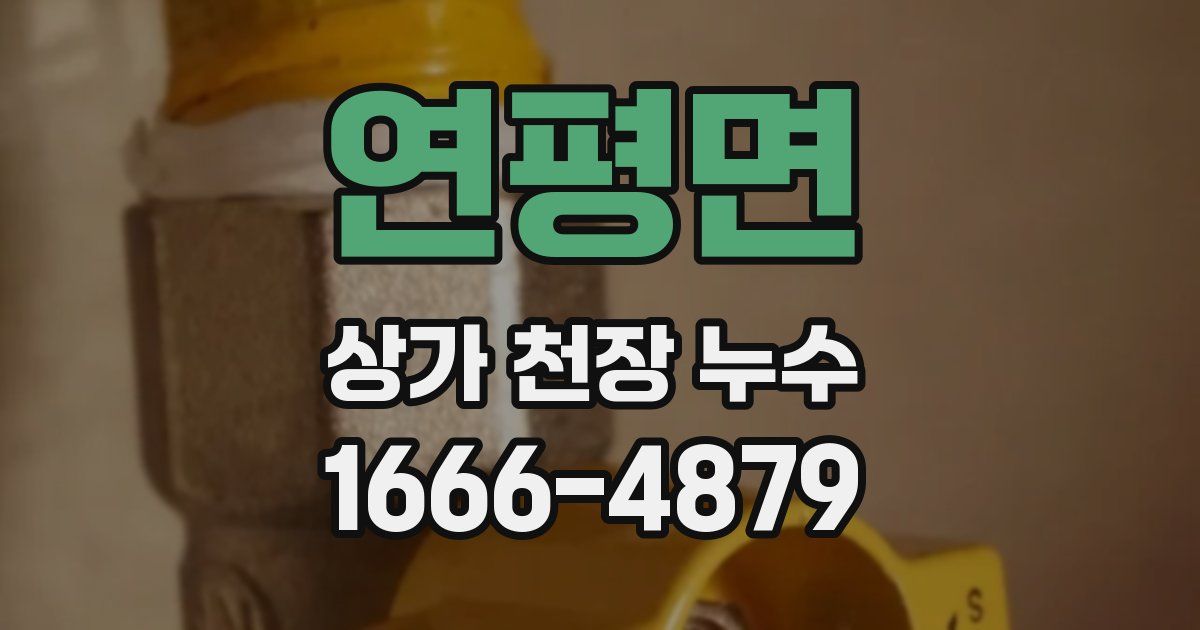 연평면 상가 천장 누수