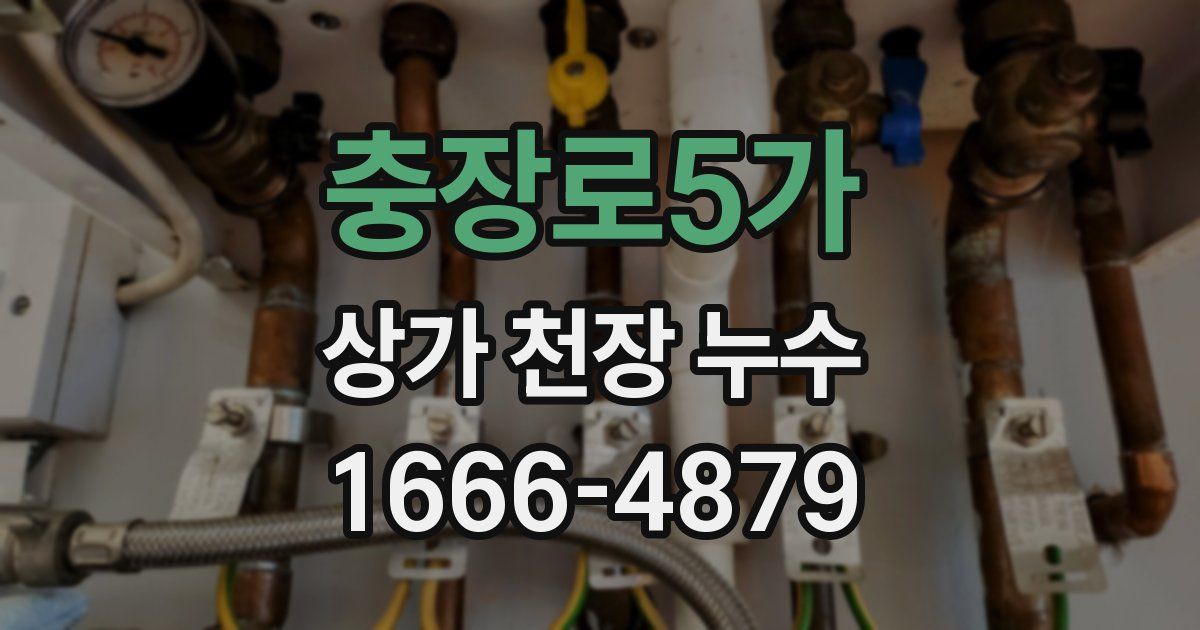 충장로5가 상가 천장 누수