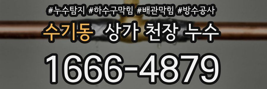수기동 상가 천장 누수