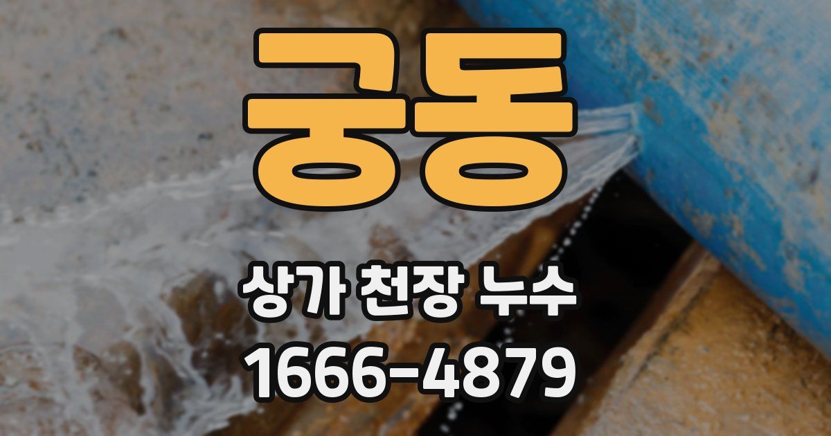 궁동 상가 천장 누수