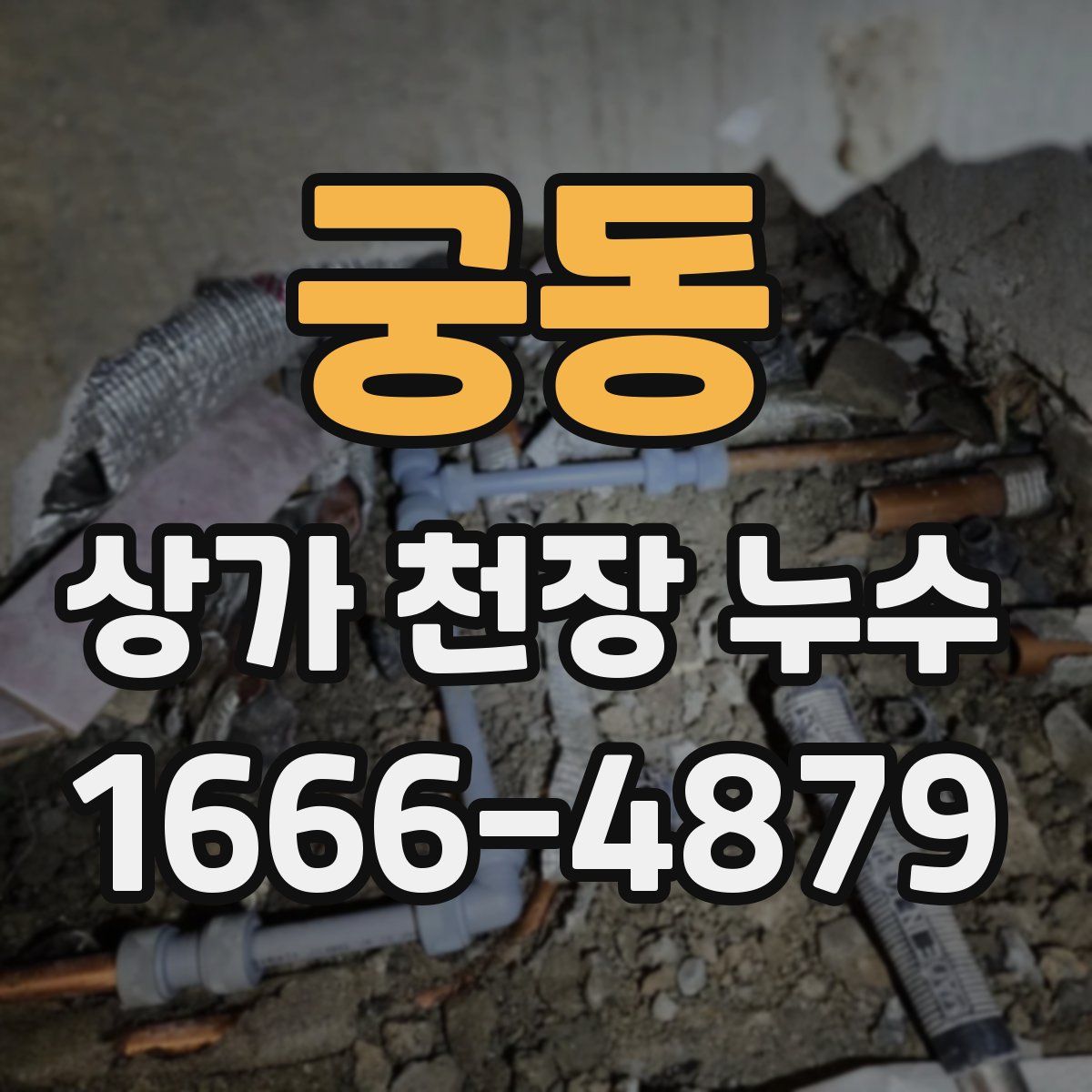 궁동 상가 천장 누수