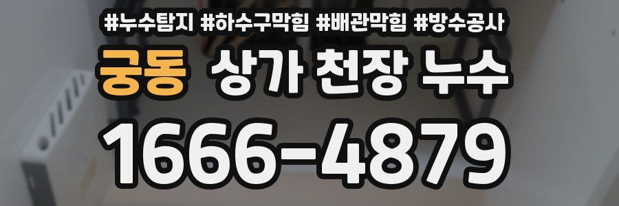 궁동 상가 천장 누수