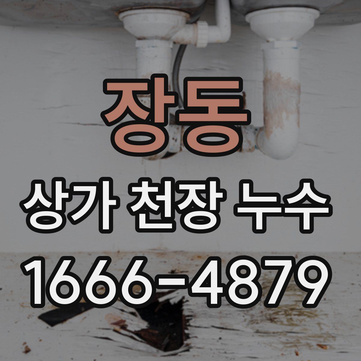 장동 상가 천장 누수
