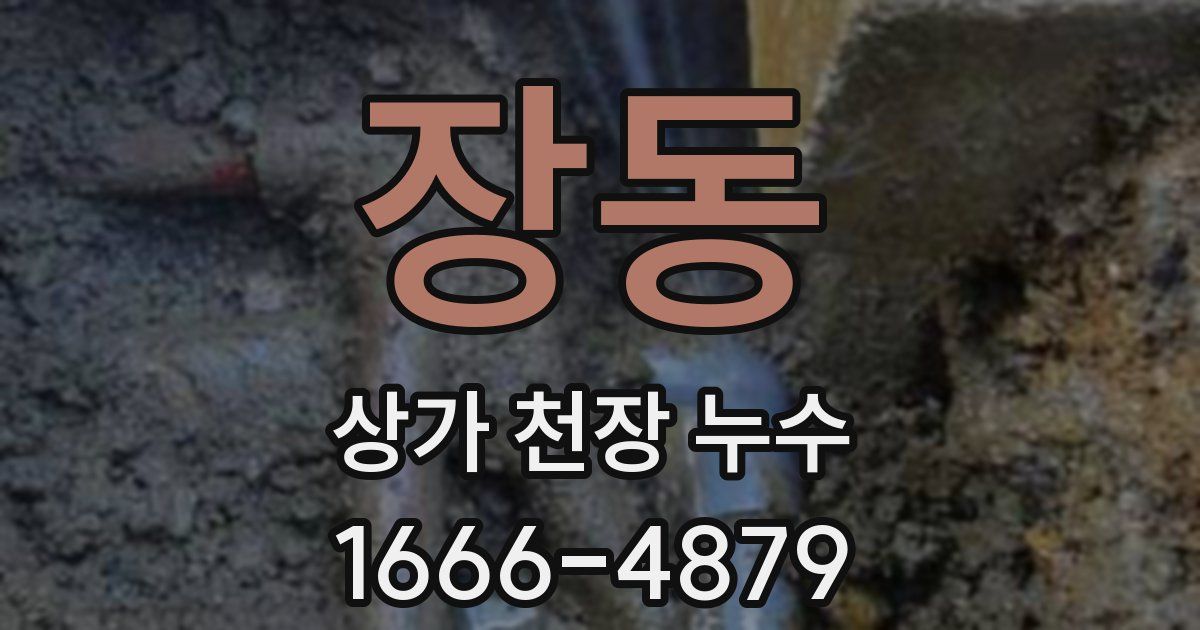 장동 상가 천장 누수