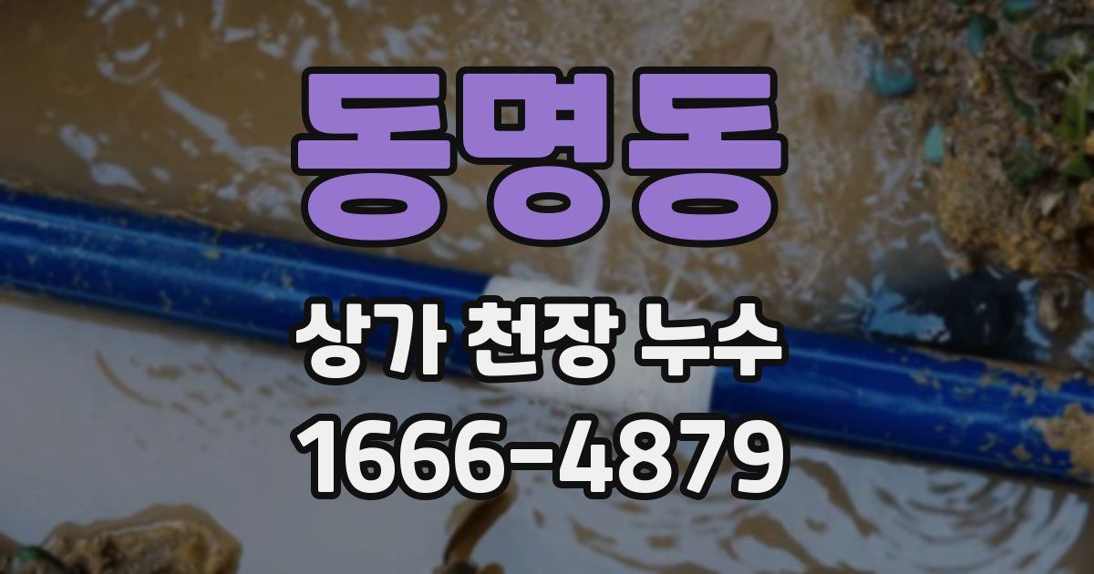 동명동 상가 천장 누수