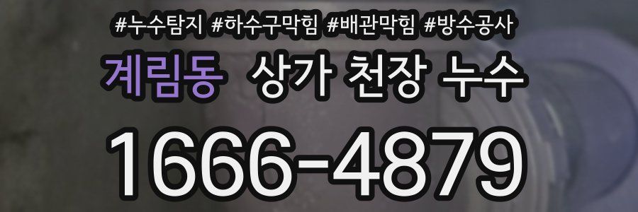 계림동 상가 천장 누수