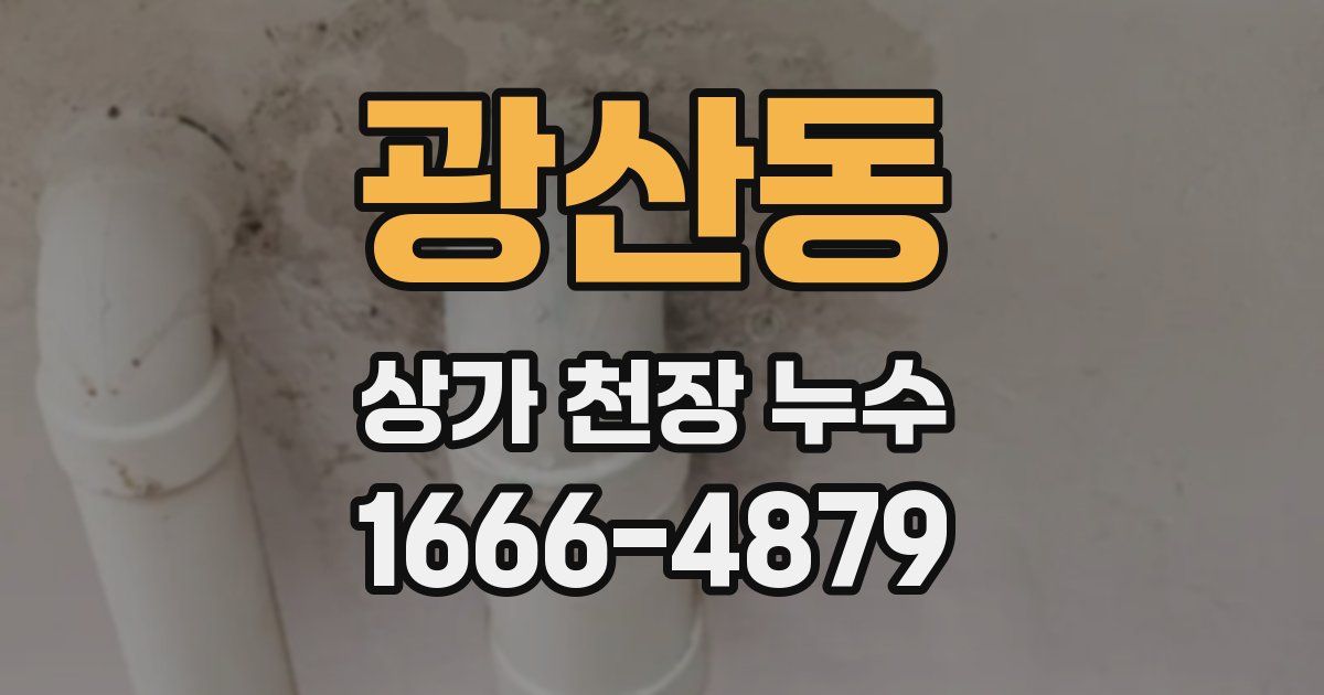 광산동 상가 천장 누수