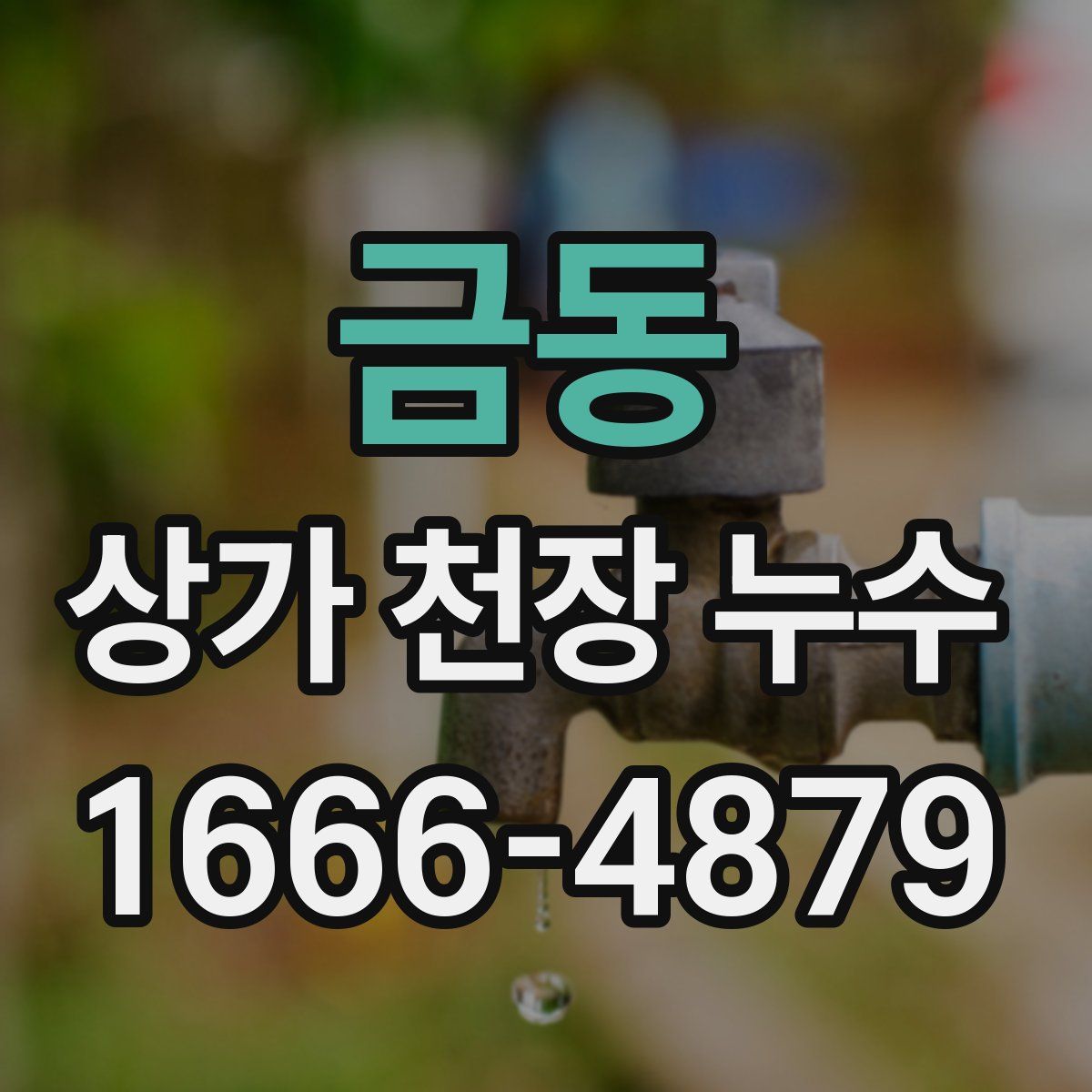 금동 상가 천장 누수