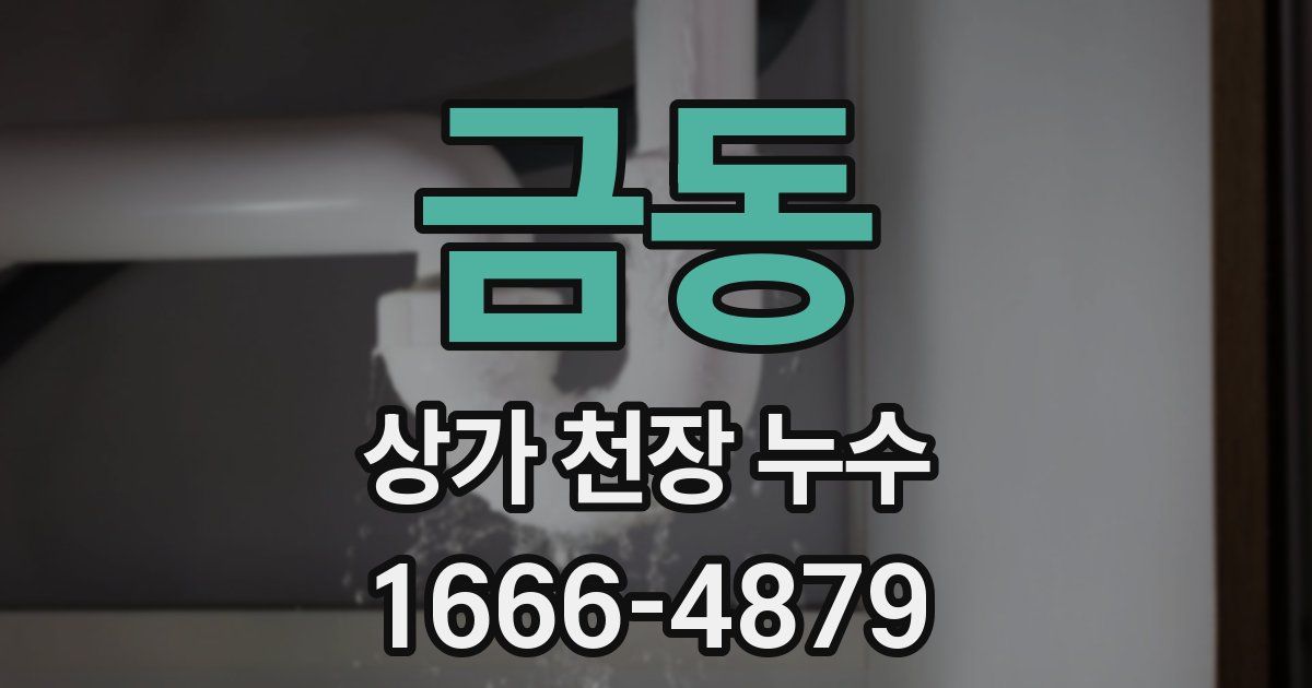 금동 상가 천장 누수