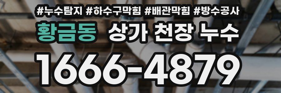 황금동 상가 천장 누수