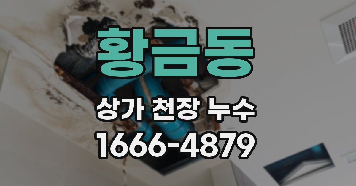 황금동 상가 천장 누수
