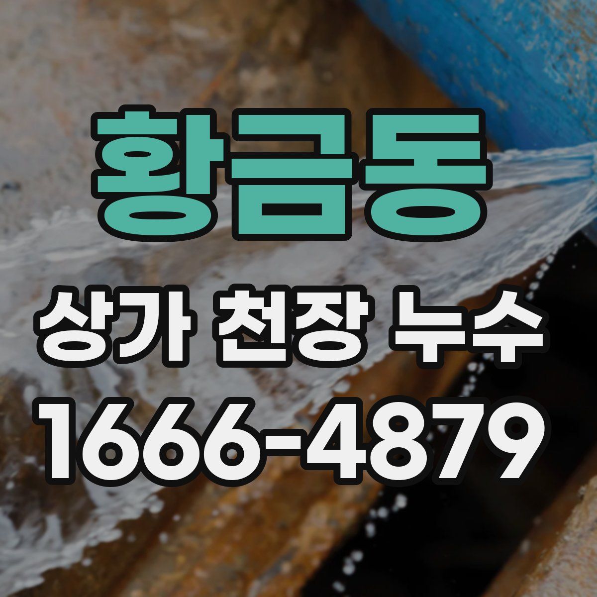 황금동 상가 천장 누수