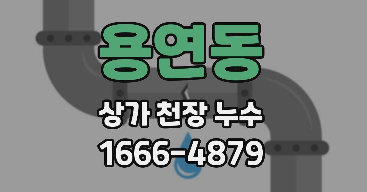 용연동 상가 천장 누수