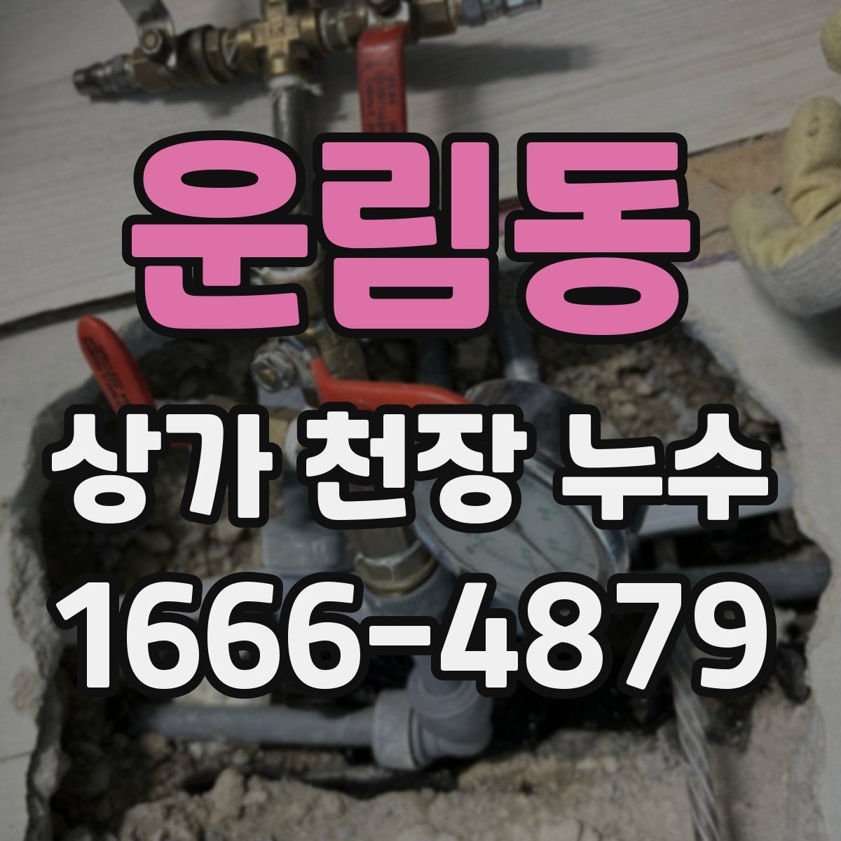 운림동 상가 천장 누수