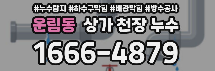 운림동 상가 천장 누수