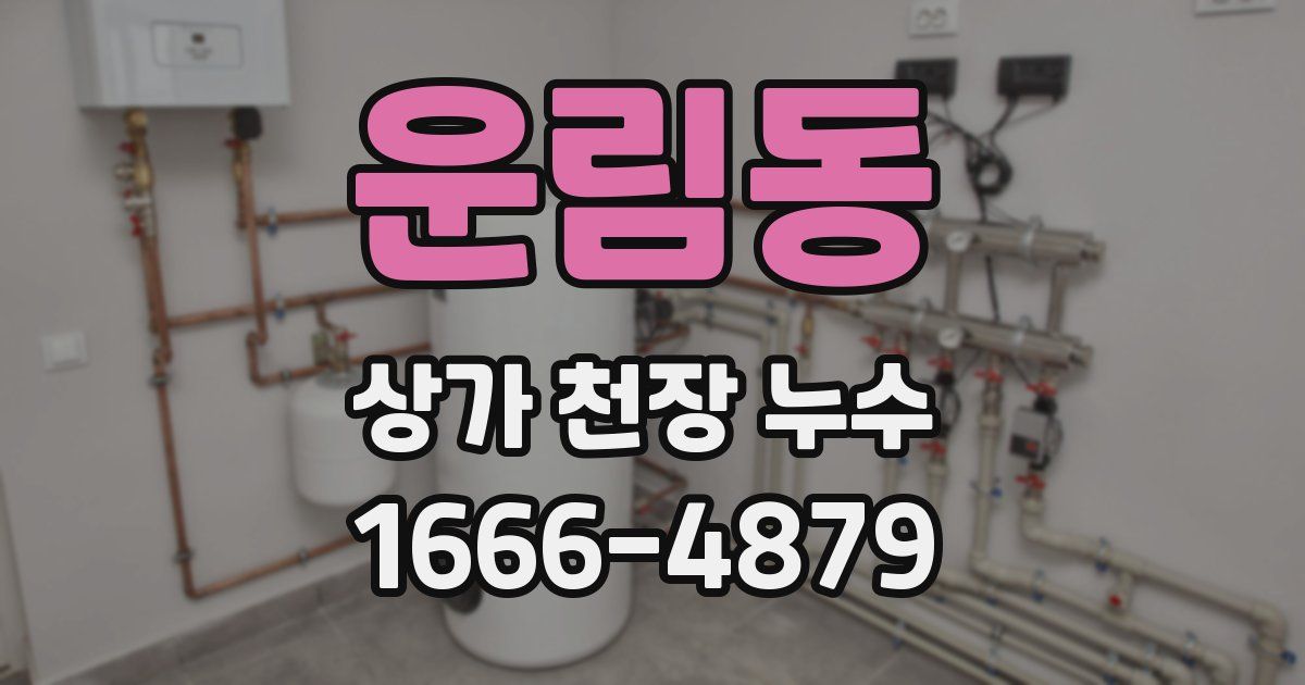 운림동 상가 천장 누수