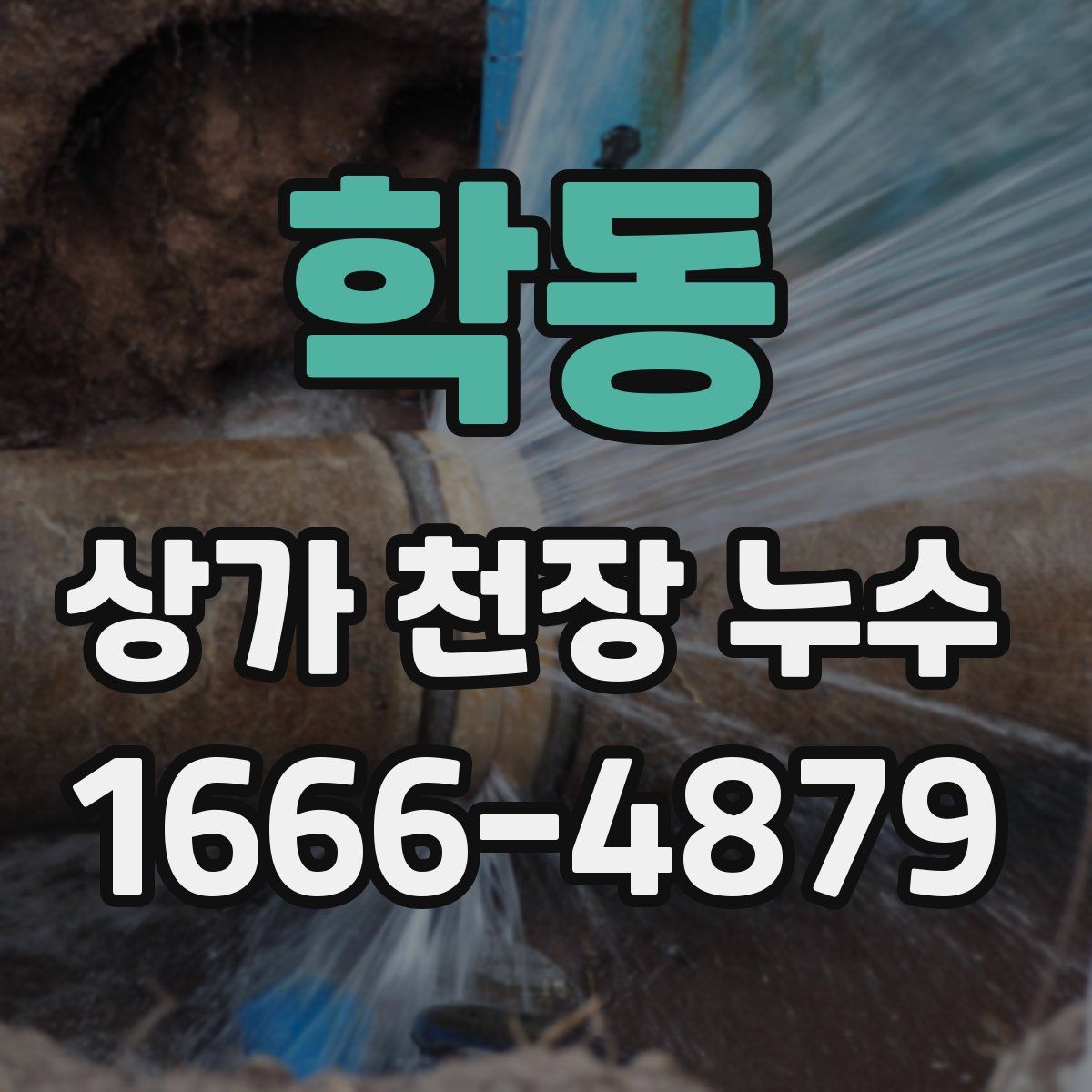 학동 상가 천장 누수