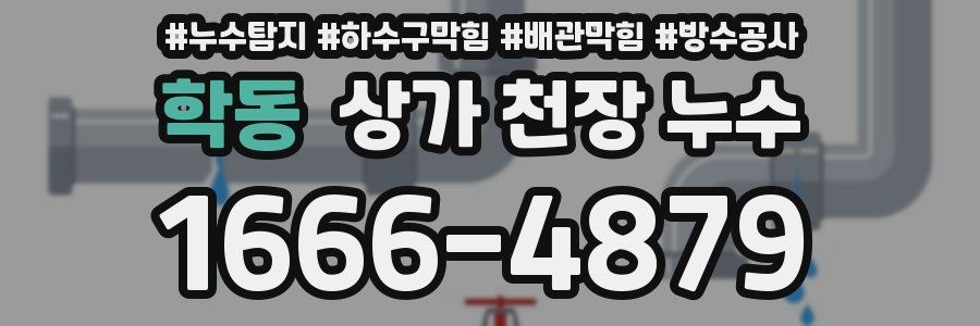 학동 상가 천장 누수