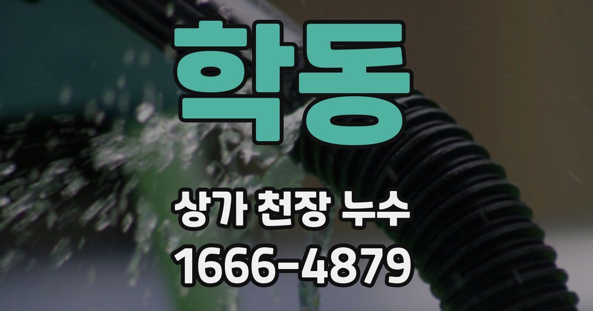 학동 상가 천장 누수