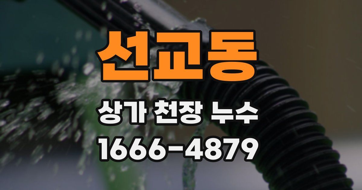 선교동 상가 천장 누수