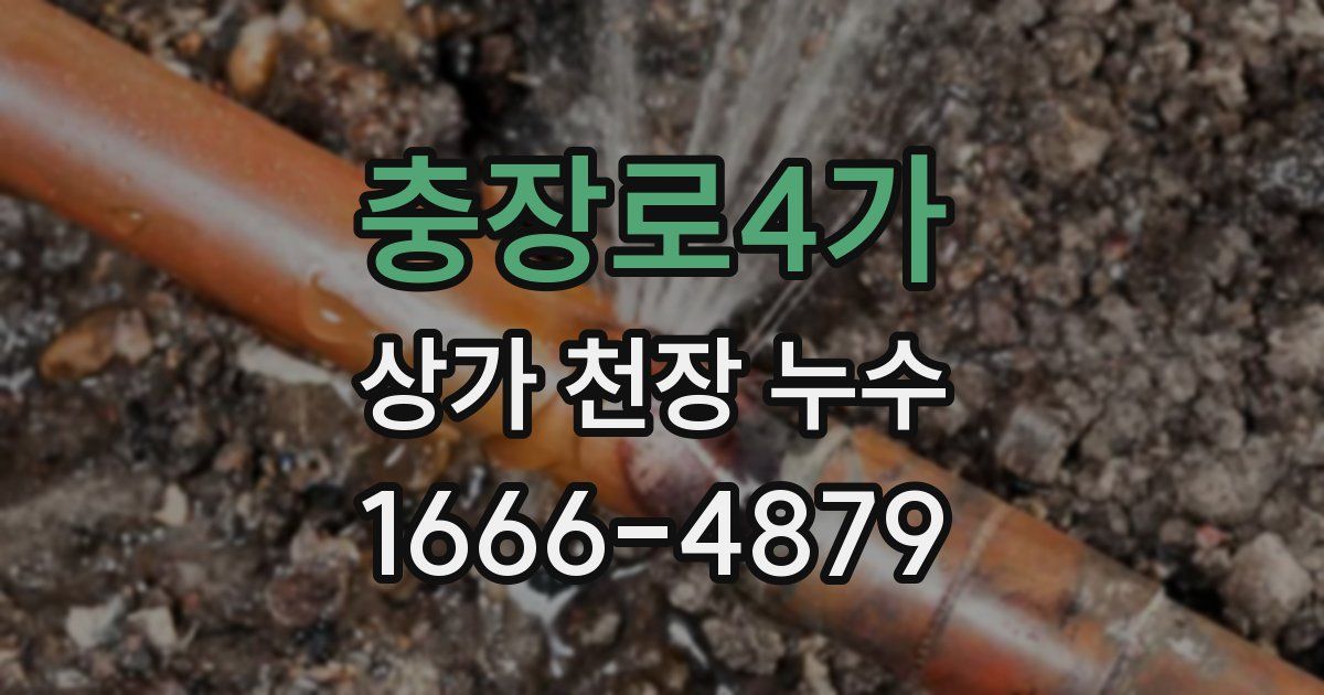 충장로4가 상가 천장 누수