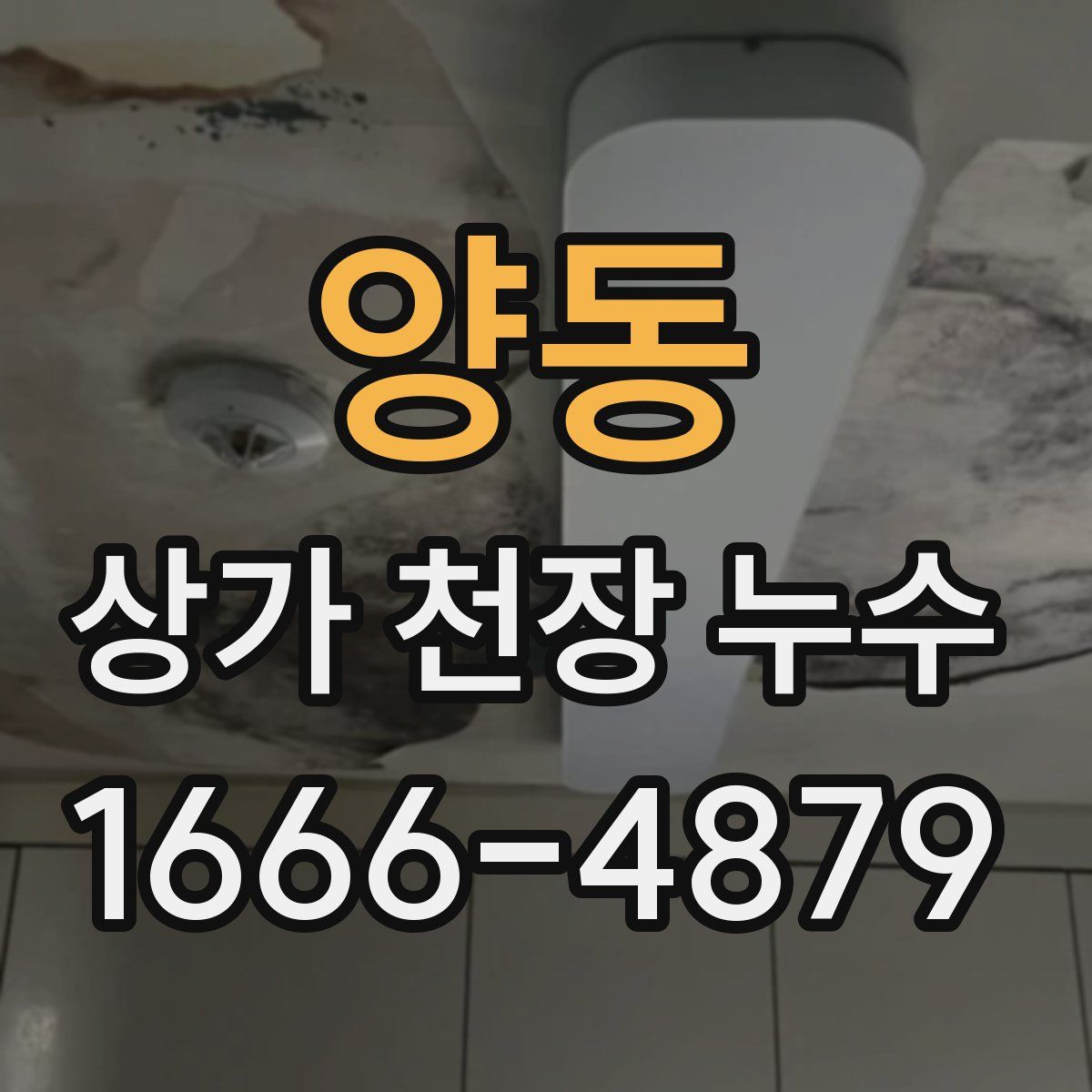 양동 상가 천장 누수