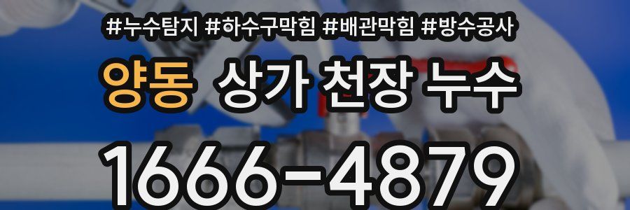 양동 상가 천장 누수