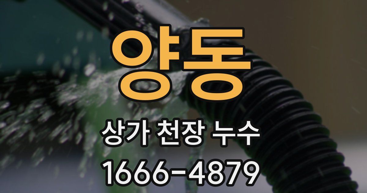 양동 상가 천장 누수