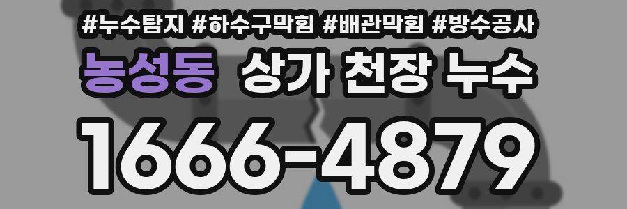 농성동 상가 천장 누수