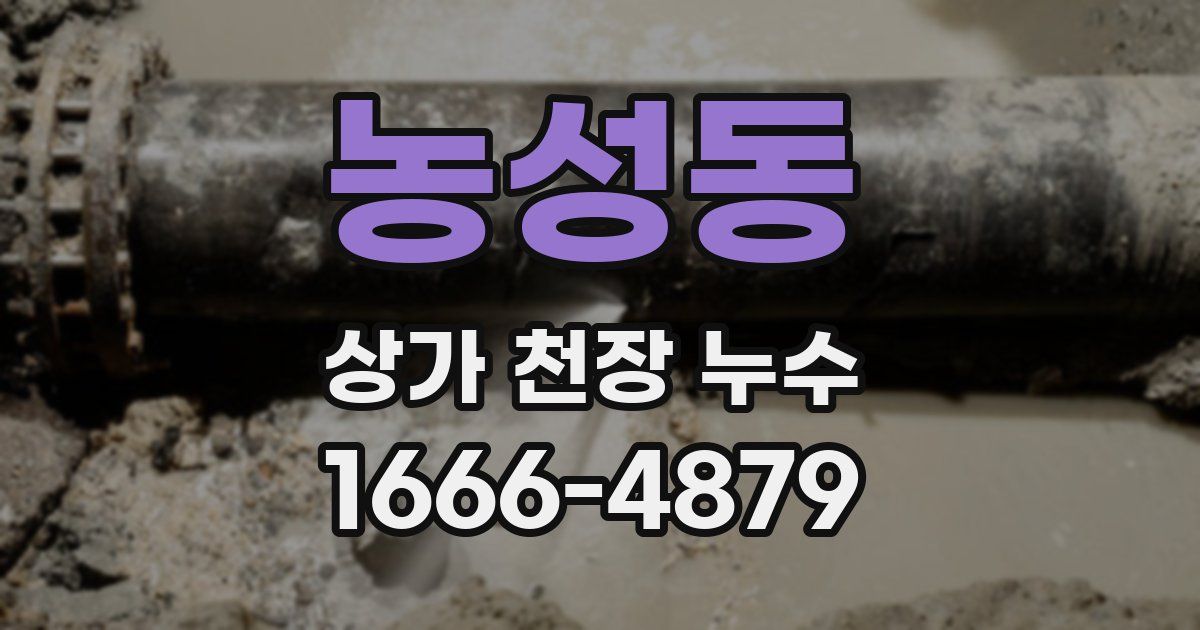 농성동 상가 천장 누수