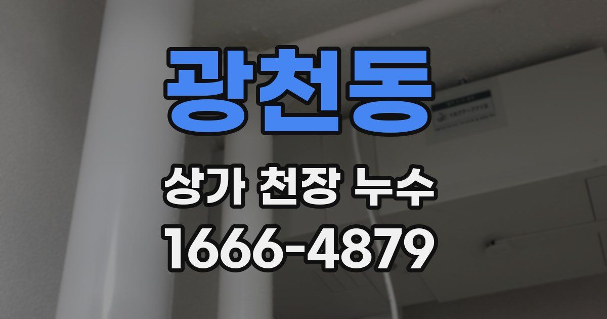 광천동 상가 천장 누수