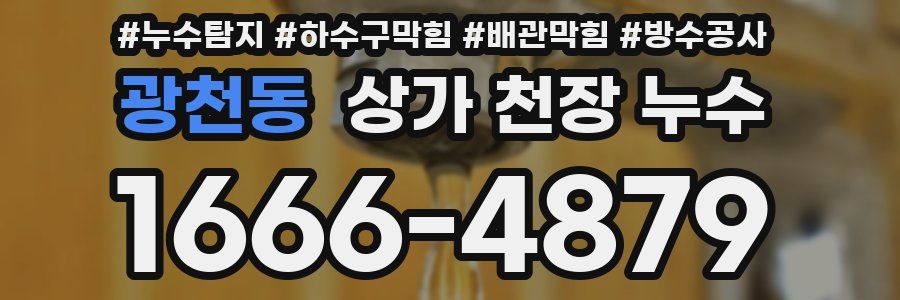 광천동 상가 천장 누수