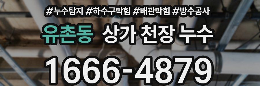 유촌동 상가 천장 누수