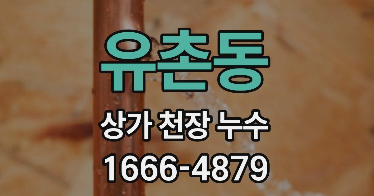 유촌동 상가 천장 누수