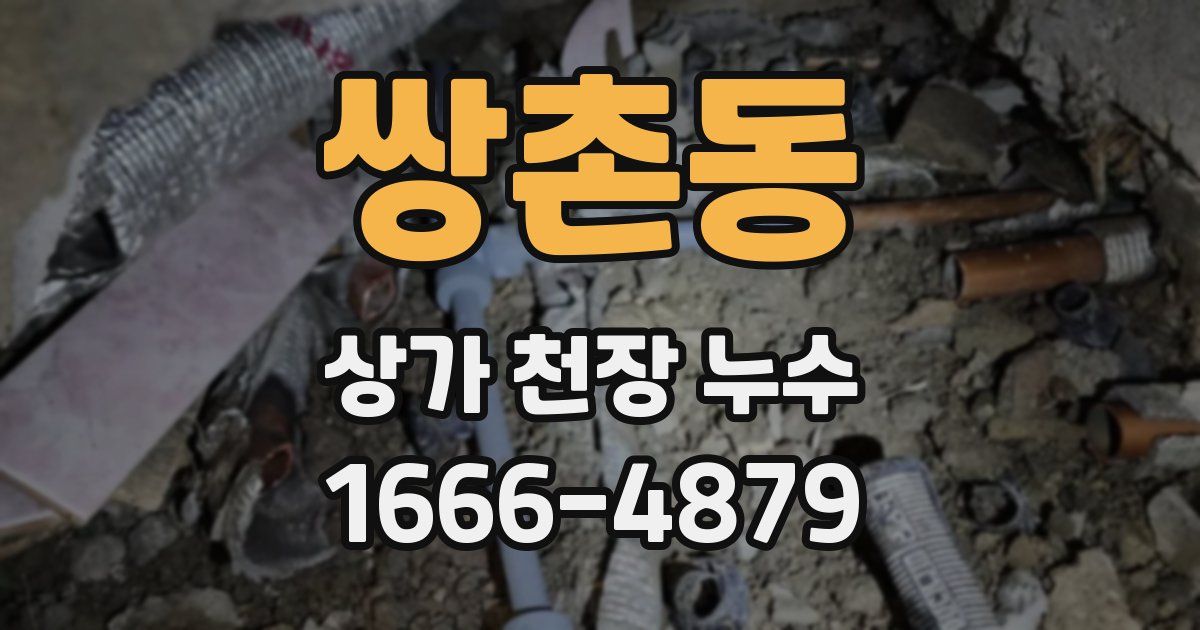 쌍촌동 상가 천장 누수