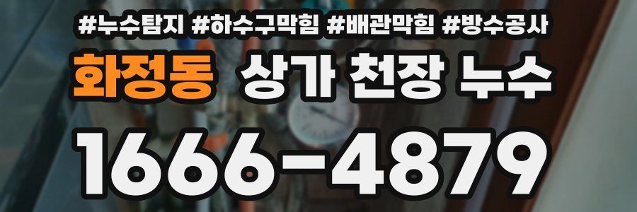 화정동 상가 천장 누수