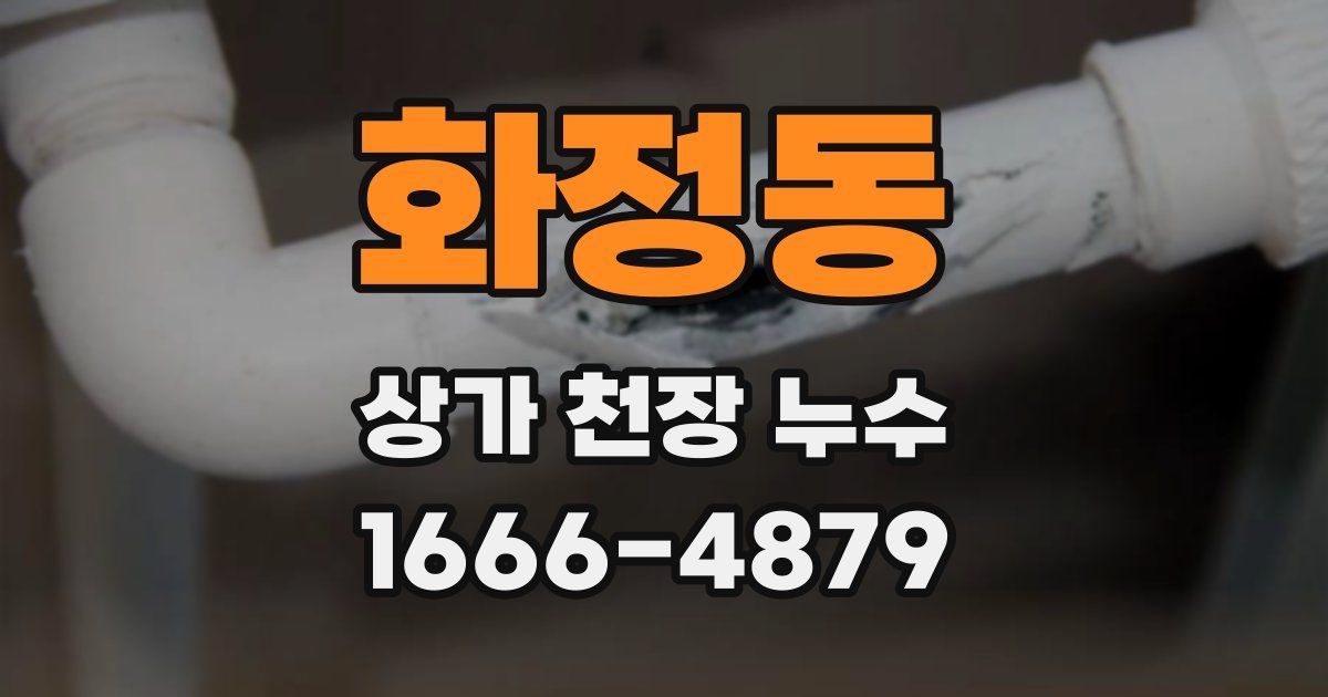 화정동 상가 천장 누수