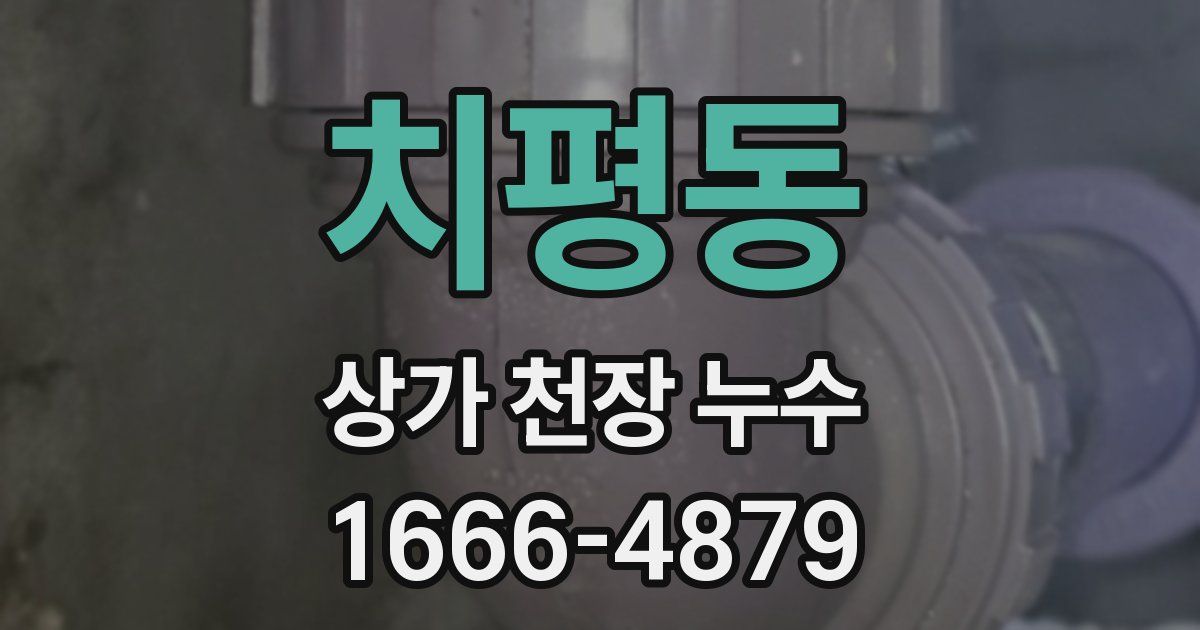 치평동 상가 천장 누수
