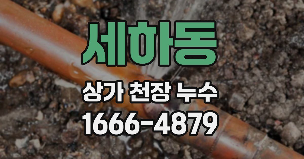 세하동 상가 천장 누수