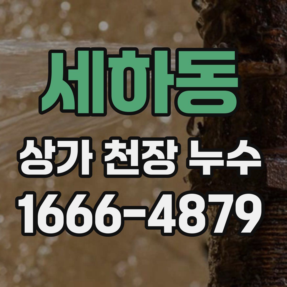 세하동 상가 천장 누수