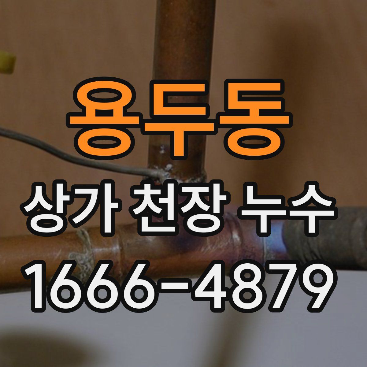 용두동 상가 천장 누수