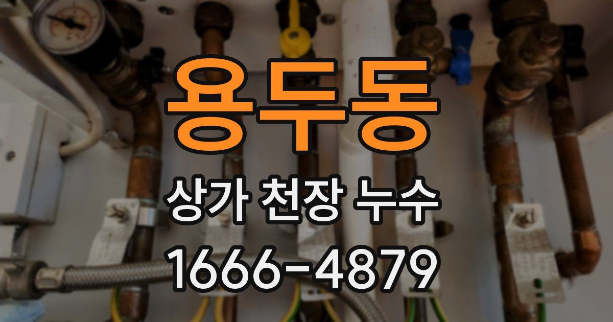 용두동 상가 천장 누수