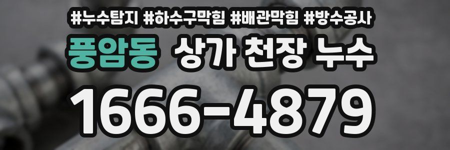 풍암동 상가 천장 누수