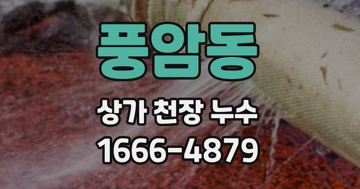 풍암동 상가 천장 누수