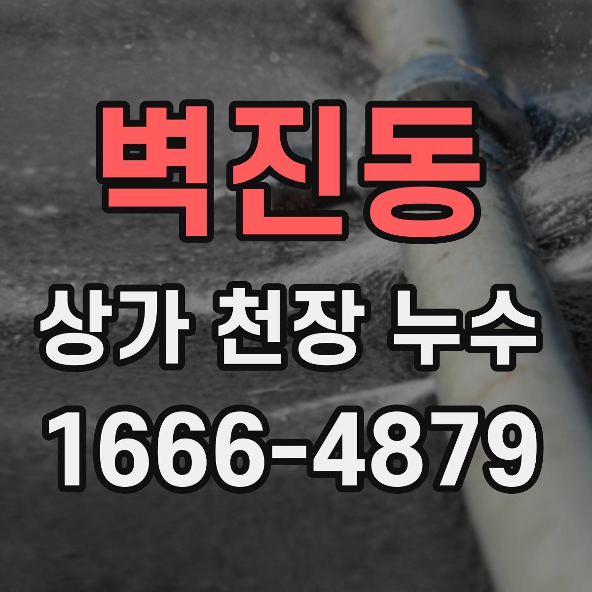 벽진동 상가 천장 누수